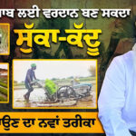 interview with Retired Joint Director of Agriculture Punjab, Dr. Baldev Singh